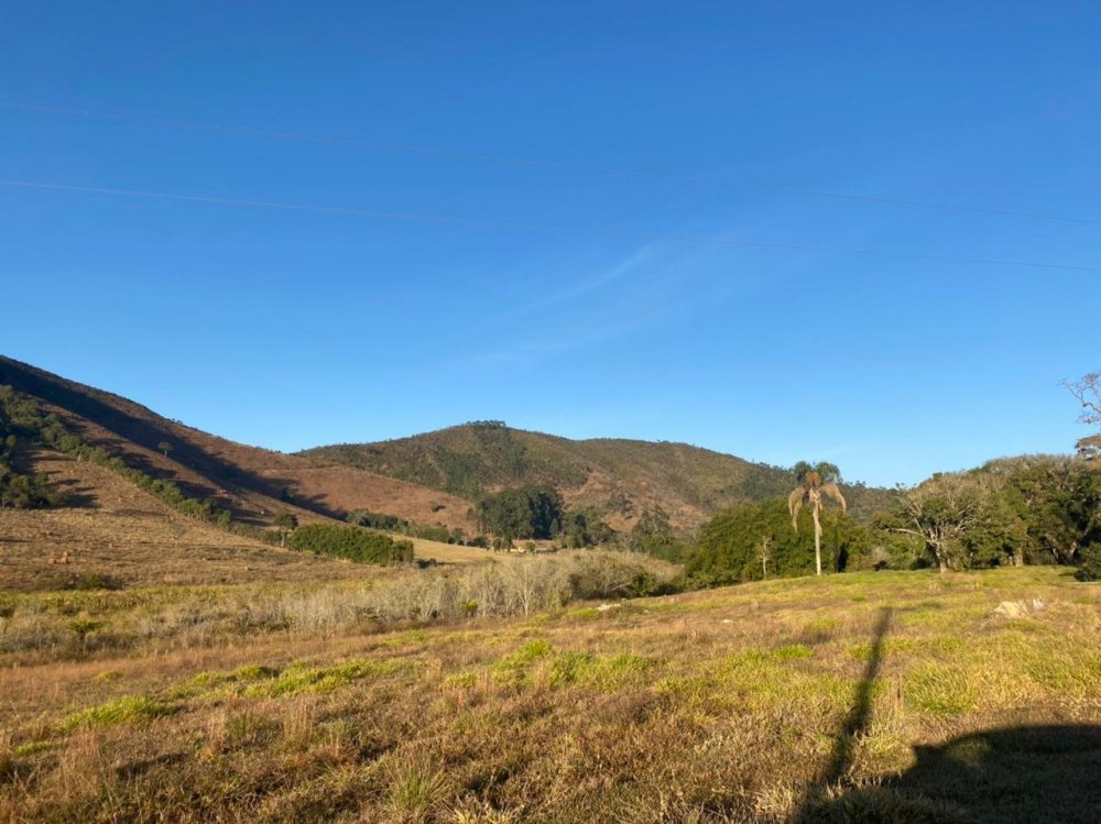 WhatsApp Image 2021-07-31 at 07.18.30 (2).jpeg