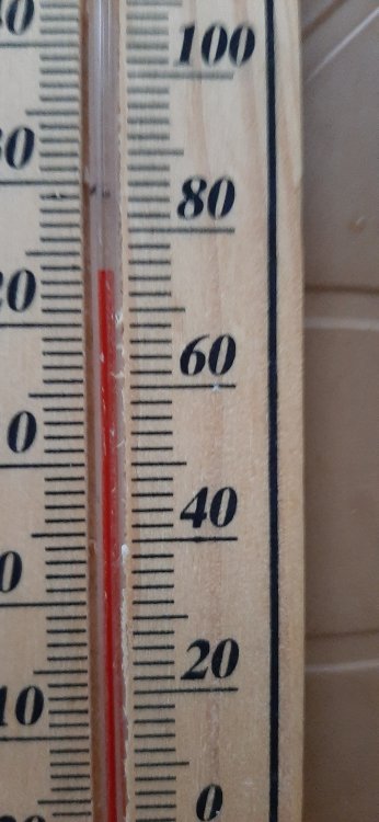 20191207_163657.jpg
