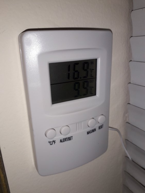 20210729_194919.jpg