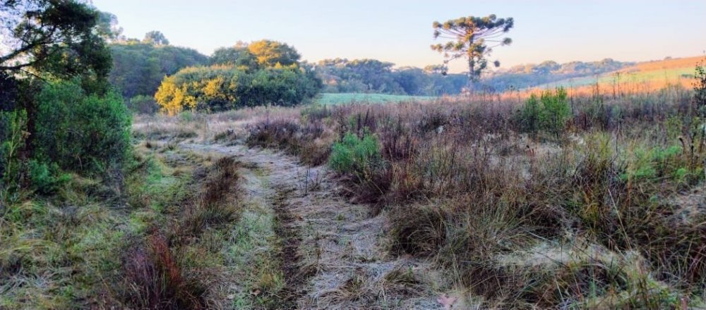 WhatsApp Image 2021-07-09 at 10.38.41.jpeg