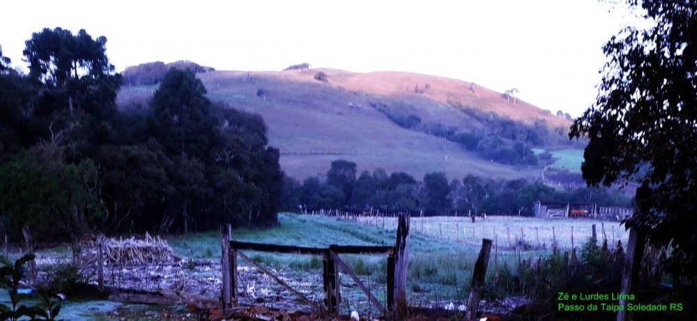 WhatsApp Image 2021-07-02 at 08.56.58.jpeg