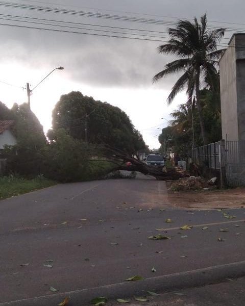 541595470_Roraima24honInstagram__ViaDasAcciascomRuaDamasdaNoitenobairropricum__CR2LGtjFmyD(JPG).jpg.6bbb8a157d25c87d74e613a62ac524a5.jpg