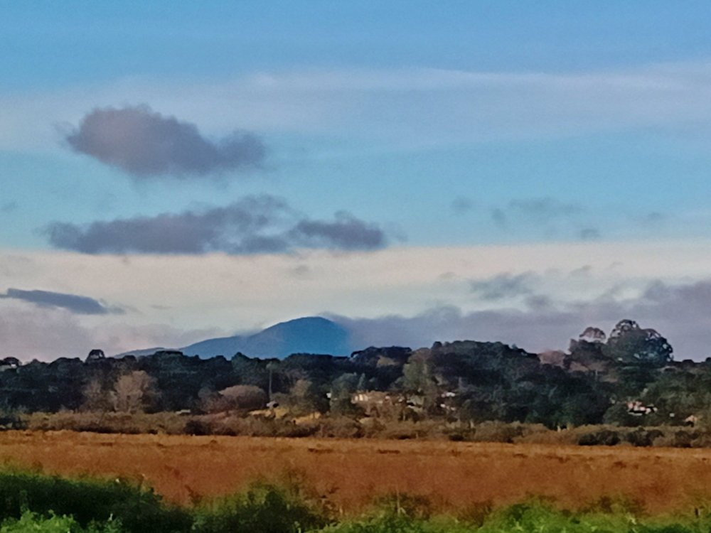AirBrush_20210701164914.thumb.jpg.577527c8cd4db3c3bd939eaeb323356b.jpg