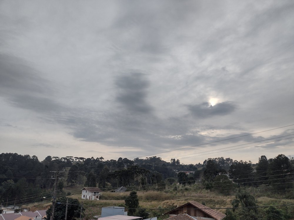 IMG_20210715_084315052_HDR.thumb.jpg.e36c68ec1e1818cf94a934d119d10510.jpg