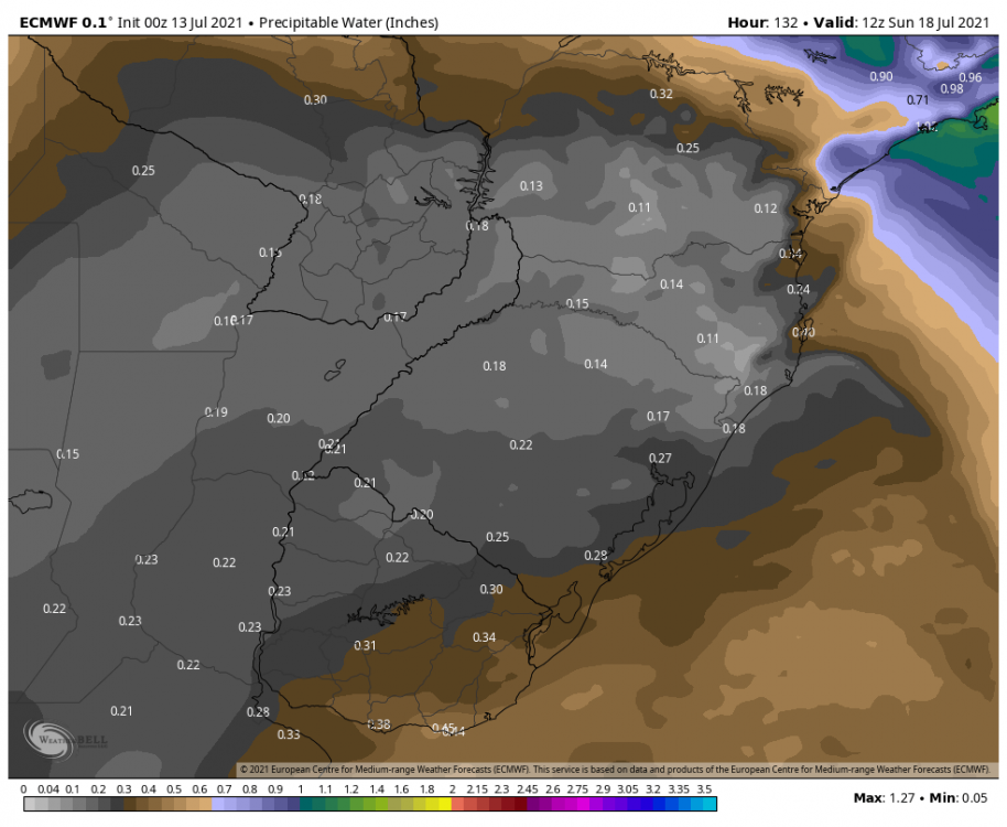 ecmwf-deterministic-southbrazil-pwat-6609600.thumb.png.45b2f18f07835554379cdf1d0d349cd4.png