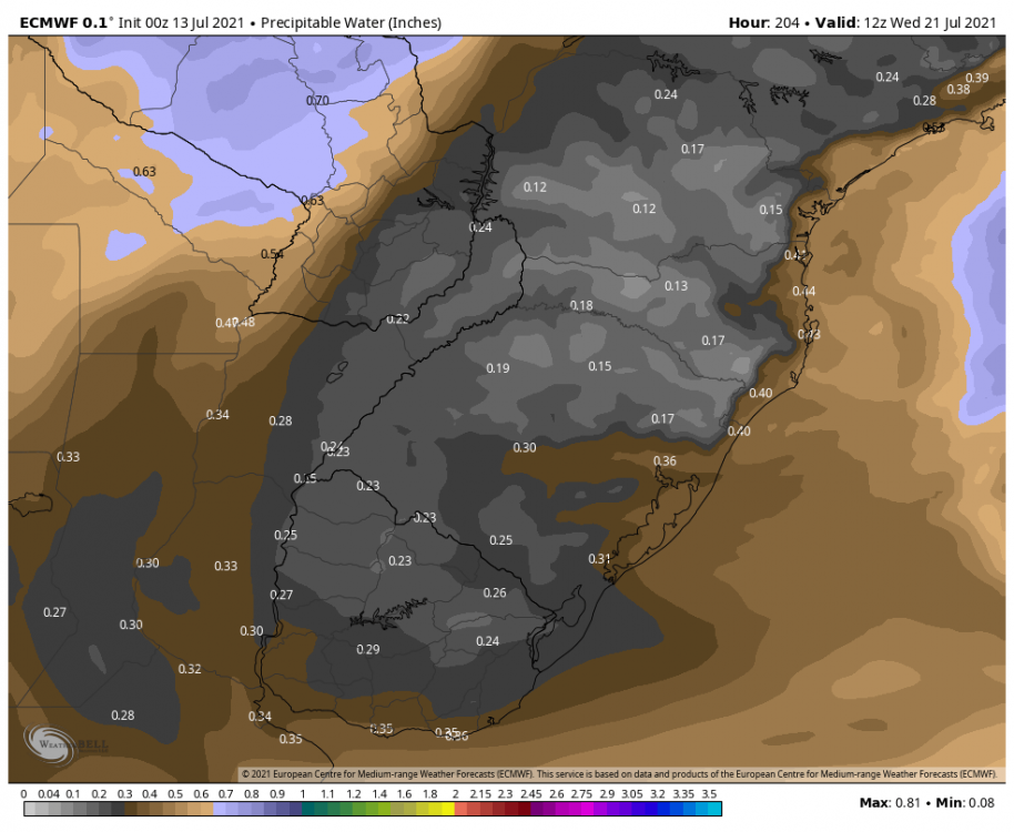 ecmwf-deterministic-southbrazil-pwat-6868800.thumb.png.8f767a36b563df6b9f53ffde6ce3e72e.png