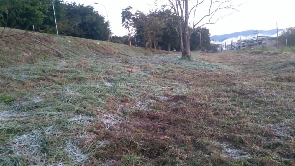 fa1eb730-630f-43ad-ab37-35ce262837e6.thumb.jpg.97af292d9d517e7a66bbf33e4c09eb99.jpg