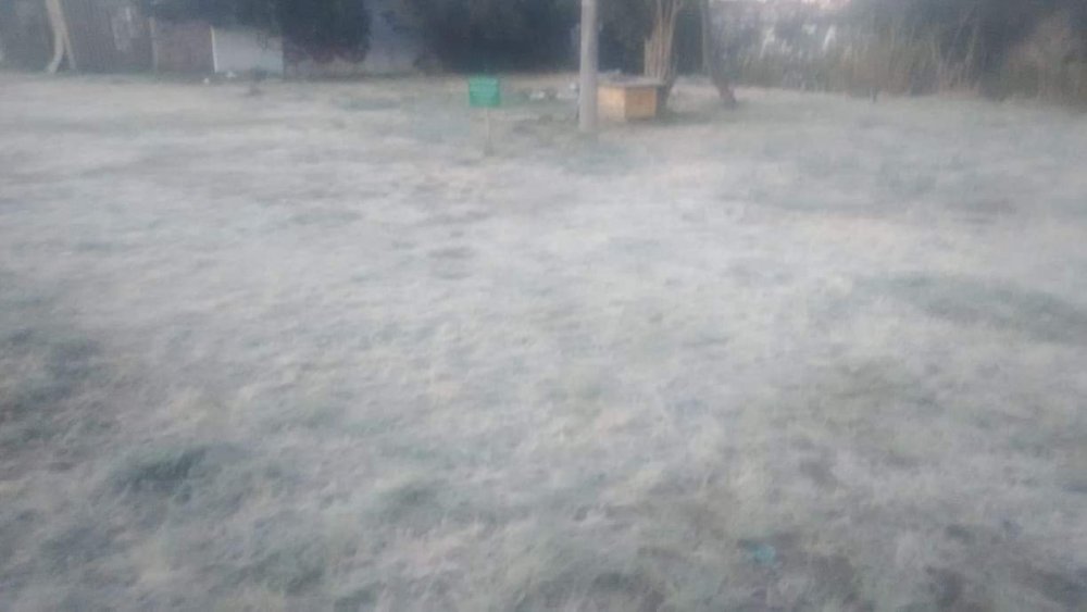 received_2093069844165213.jpeg