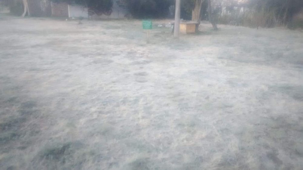 received_807747596779867.jpeg