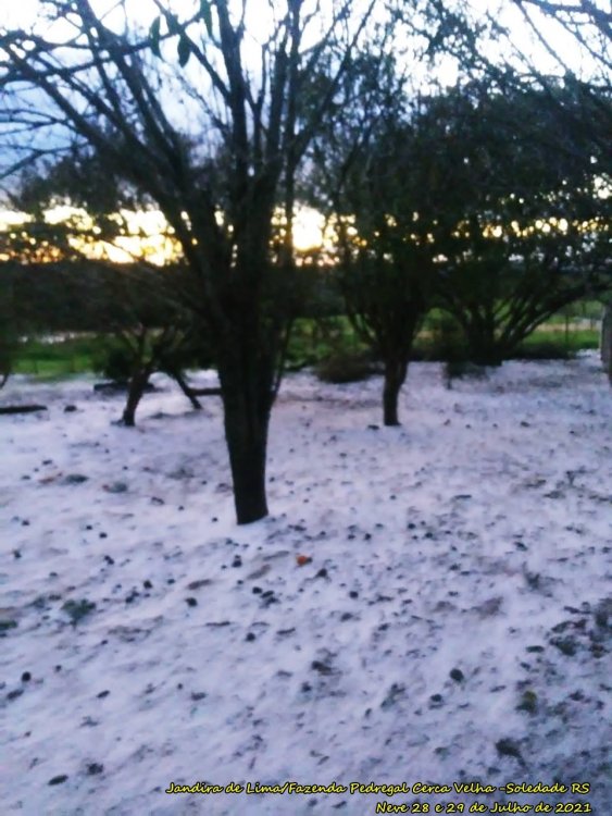 Jandira de Lima. Fazenda Pedregal Cerca Velha (5).jpeg