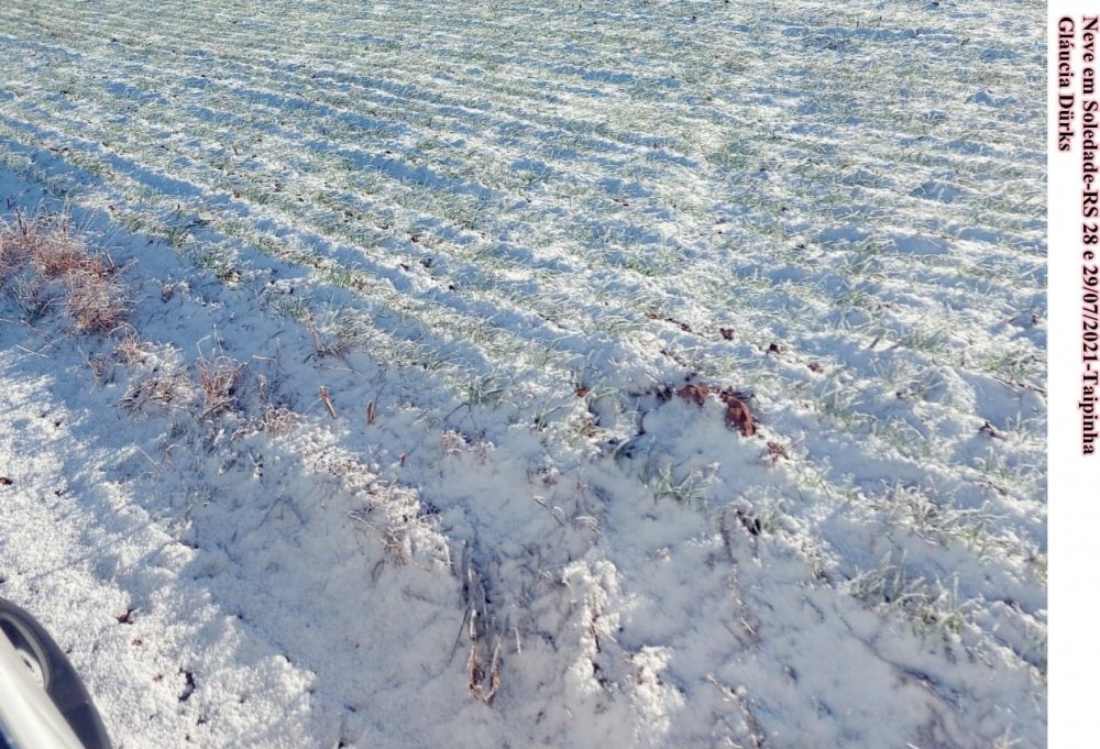 231382617_5780381272036114_5565573649421326767_n (1).jpg