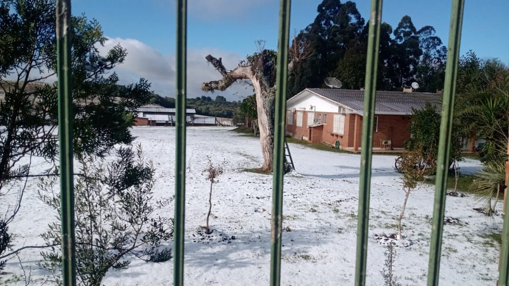 danimar teixeira 2.jpg