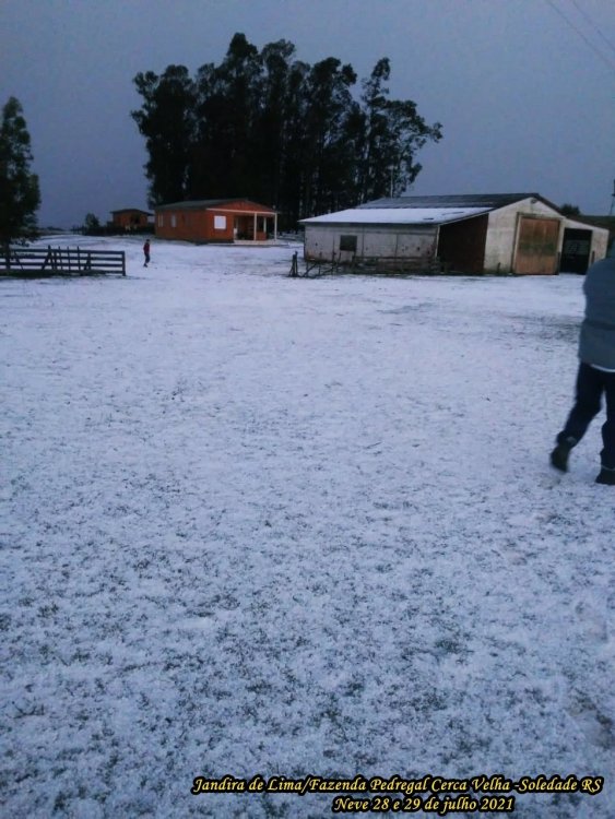 Jandira de Lima. Fazenda Pedregal Cerca Velha (2).jpeg