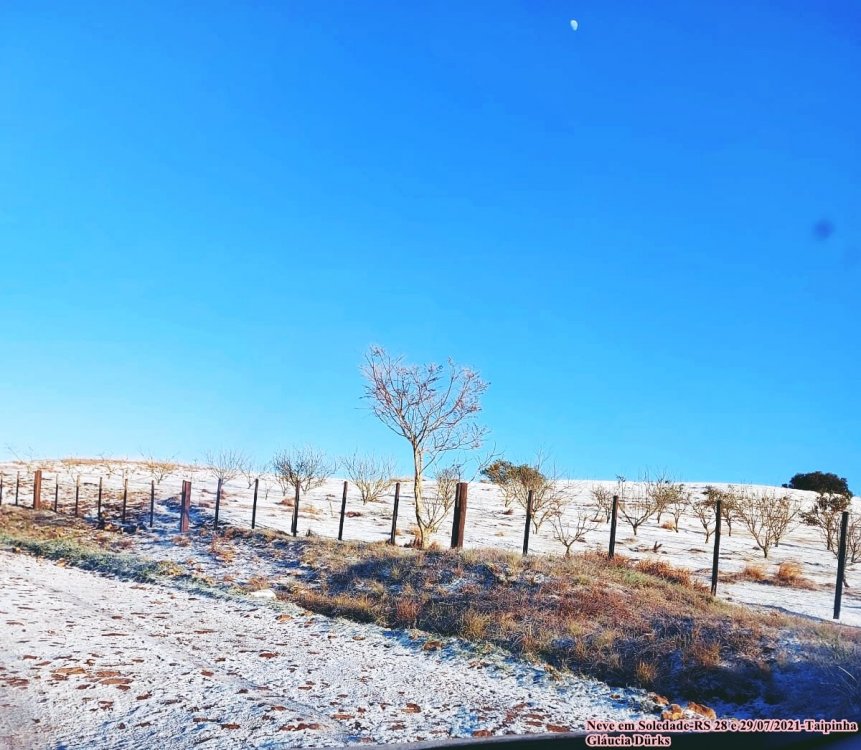 Gláucia Dürks Taipinha (14).jpeg