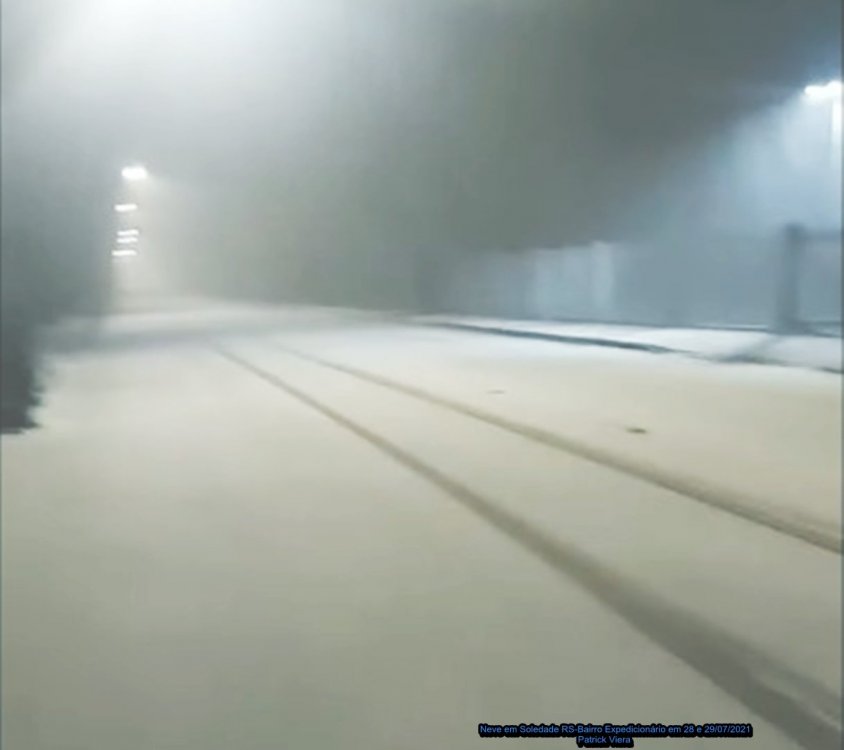 28 e 2907 patrick vieira (2).jpeg