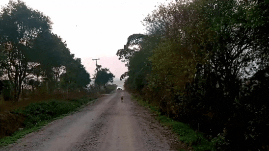 20210824_080731.gif.f1bccf5b4f3f371952317bc914258050.gif