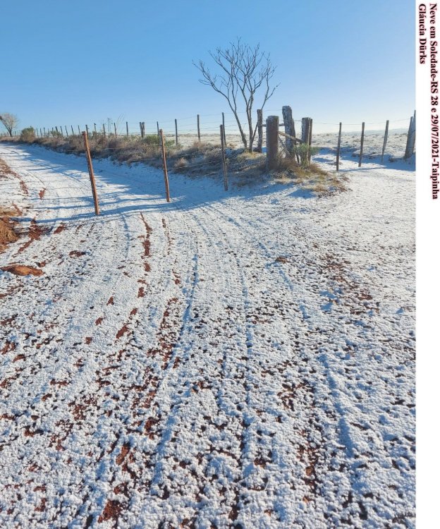 Gláucia Dürks Taipinha (7).jpeg