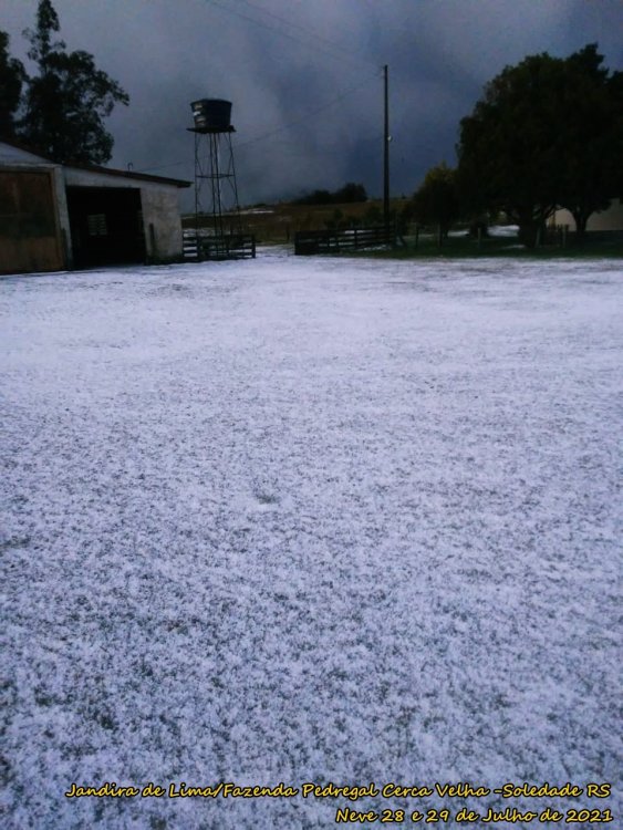 Jandira de Lima. Fazenda Pedregal Cerca Velha (4).jpeg