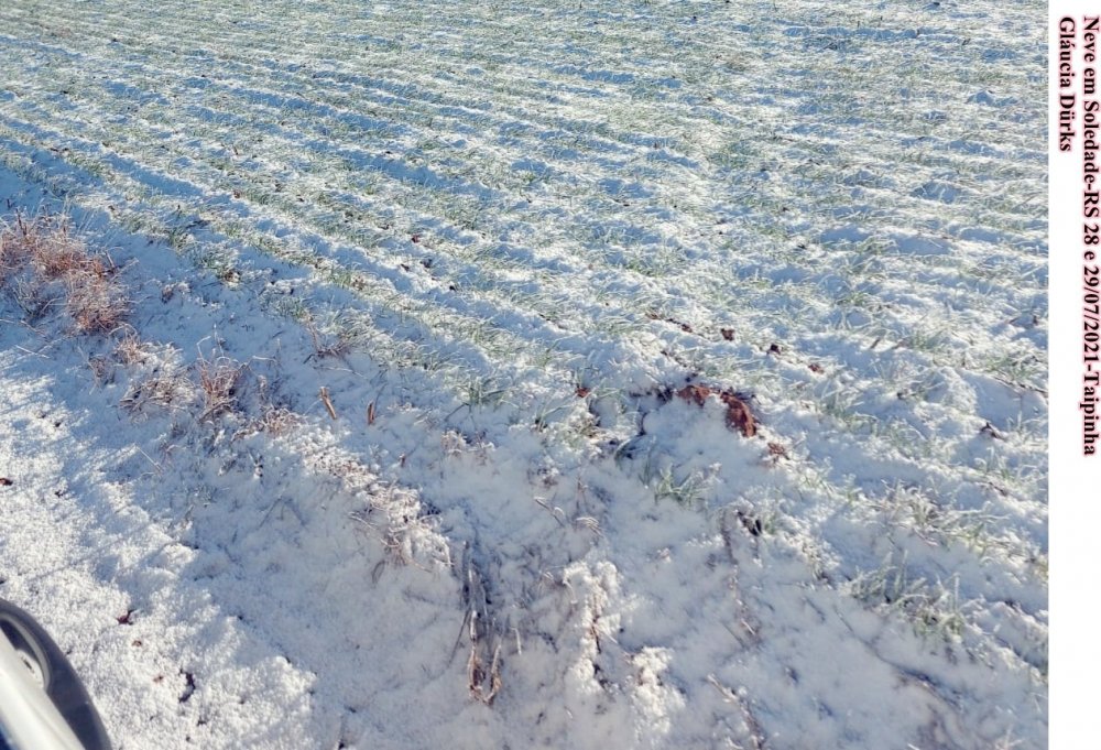 Gláucia Dürks Taipinha (4).jpeg