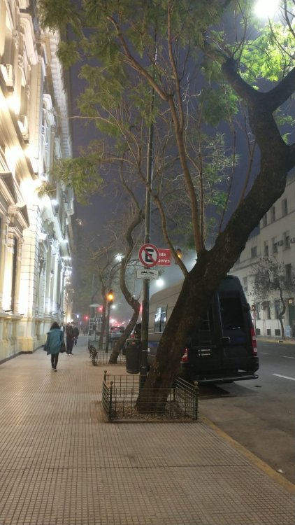 WhatsApp Image 2021-08-04 at 18.43.06.jpeg