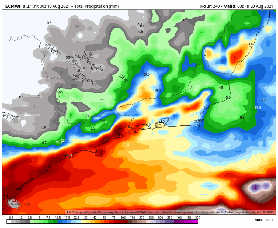 ecmwf-deterministic-rio-total_precip_mm-9417600.thumb.png.5edde93640007fb9ebec5b0d29bbcba3.png
