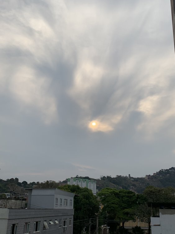 9163D58F-BDDA-493A-9681-9EF7AAF756D6.thumb.jpeg.47eeba0027390c62d089de5382751e8c.jpeg