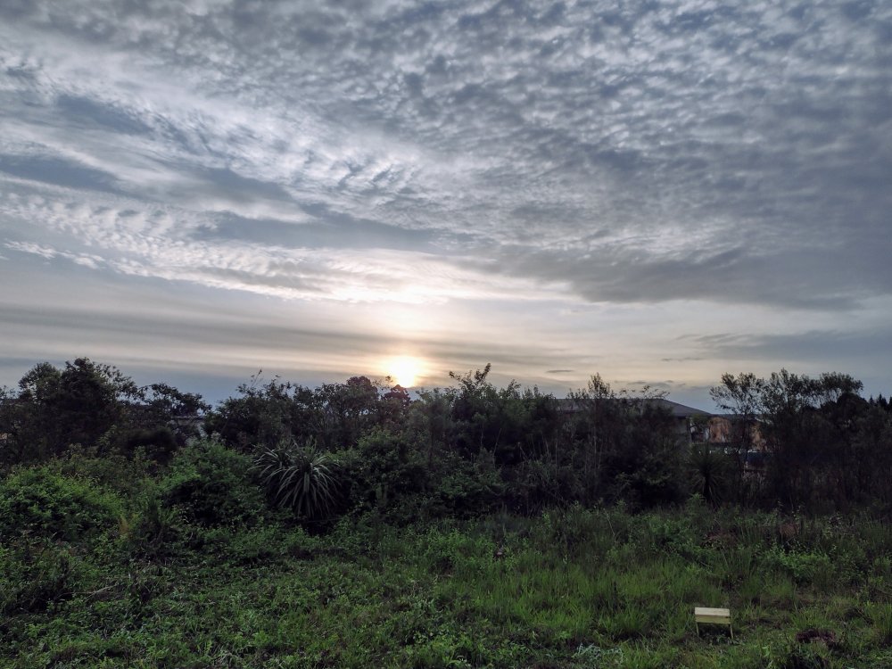 IMG_20211001_175014787_HDR.thumb.jpg.aa262c88bcb29a5fbcb584e479fd8f09.jpg