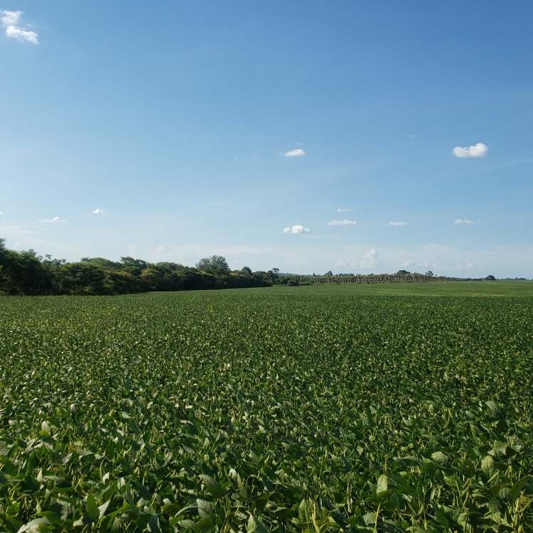 20220123_163146.jpg