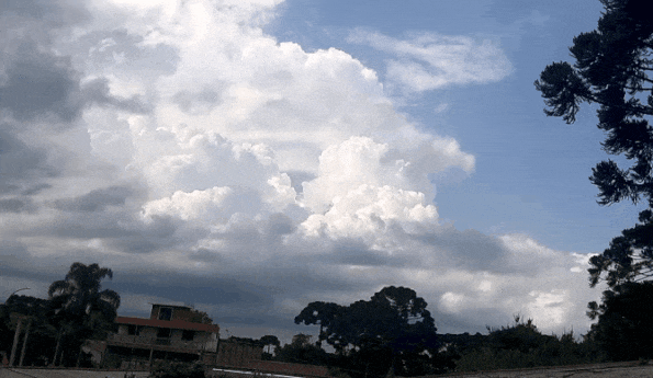 20220226_164306.gif.aaa1bb161e64f77bc55d154038d09d5a.gif