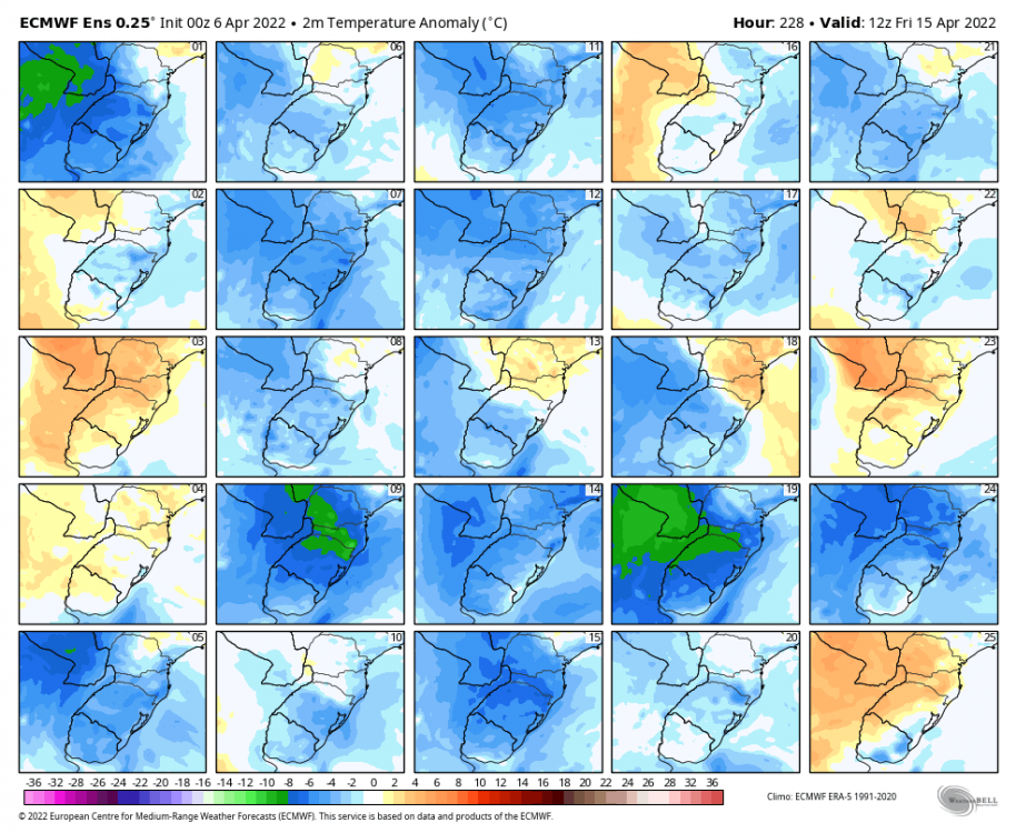 ecmwf-ensemble-avg-southbrazil-t2m_c_anom_multimember_panel_ecmwf_a-0024000.thumb.png.db5a3072587e94598f8fc7d3ec4d56b3.png