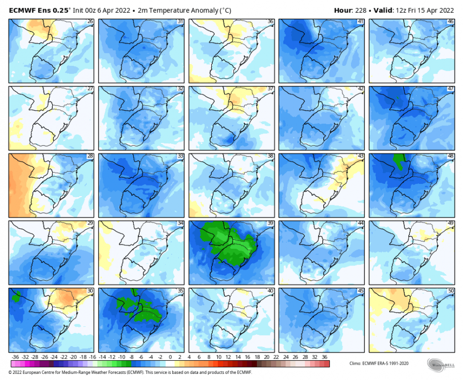 ecmwf-ensemble-avg-southbrazil-t2m_c_anom_multimember_panel_ecmwf_b-0024000.thumb.png.30d5d20851ecec8a03b63a5dd1e342b8.png