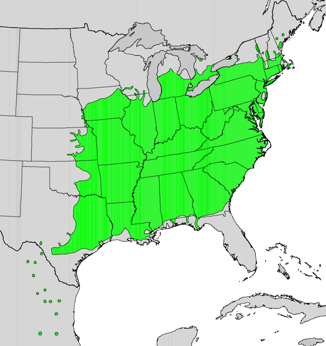 Platanus_occidentalis_map.png.7fc8b4376402ba041c56516d1c6d5516.png