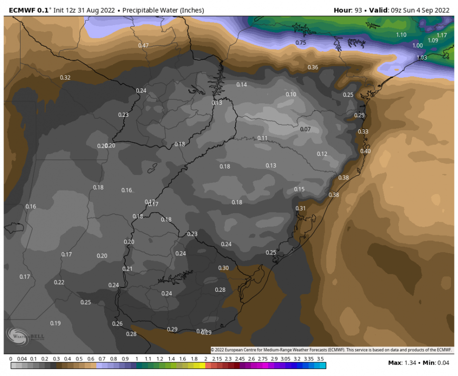 ecmwf-deterministic-southbrazil-pwat-2282000.thumb.png.878d32d9351eac4f1db50b62a6a546d3.png