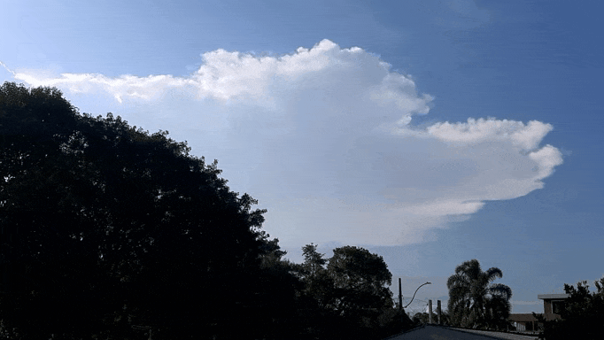 20230325_075901.gif.d1a24ab376d98d47b8a54b9a482a64fb.gif