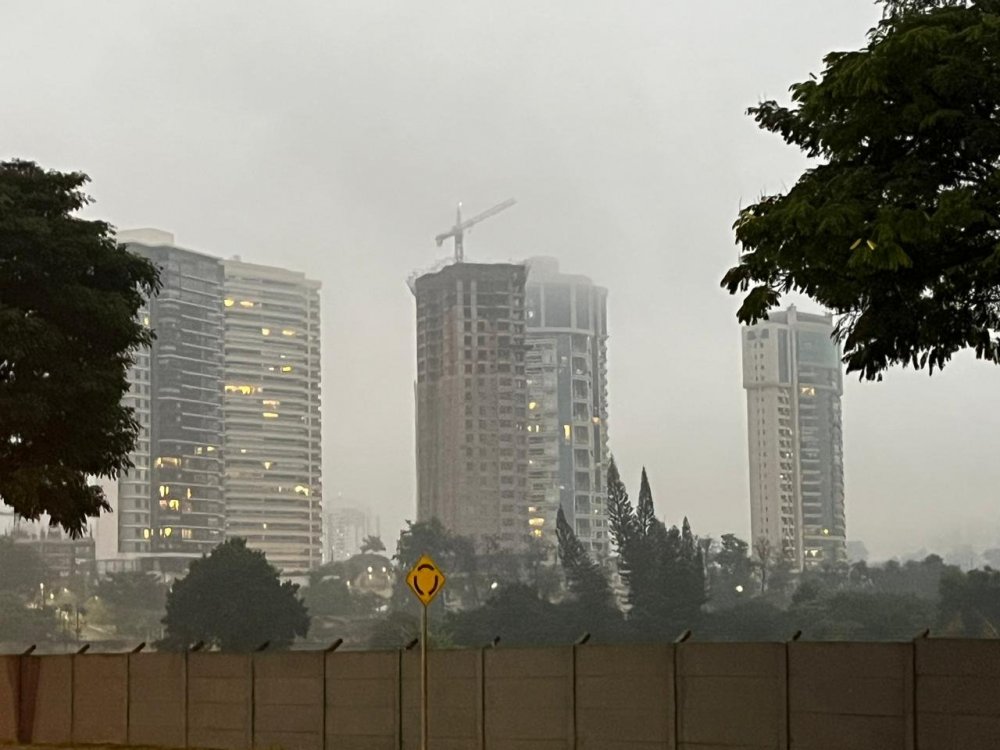 Neblina LDB 1.jpg