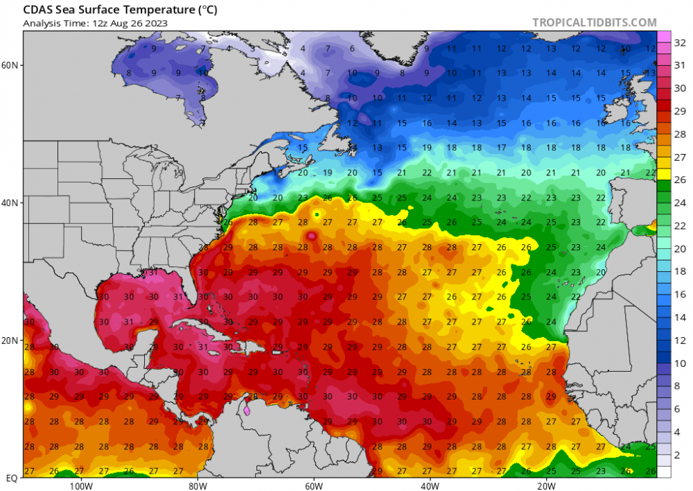 cdas-sflux_sst_atl_1.thumb.png.0c0db5083bf9d1ea356fd840fdbaf96d.png