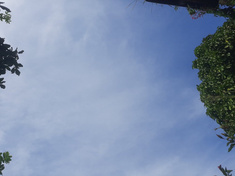 20240524_125341.thumb.jpg.8cc21128784f38679bc7d653e184e8d7.jpg