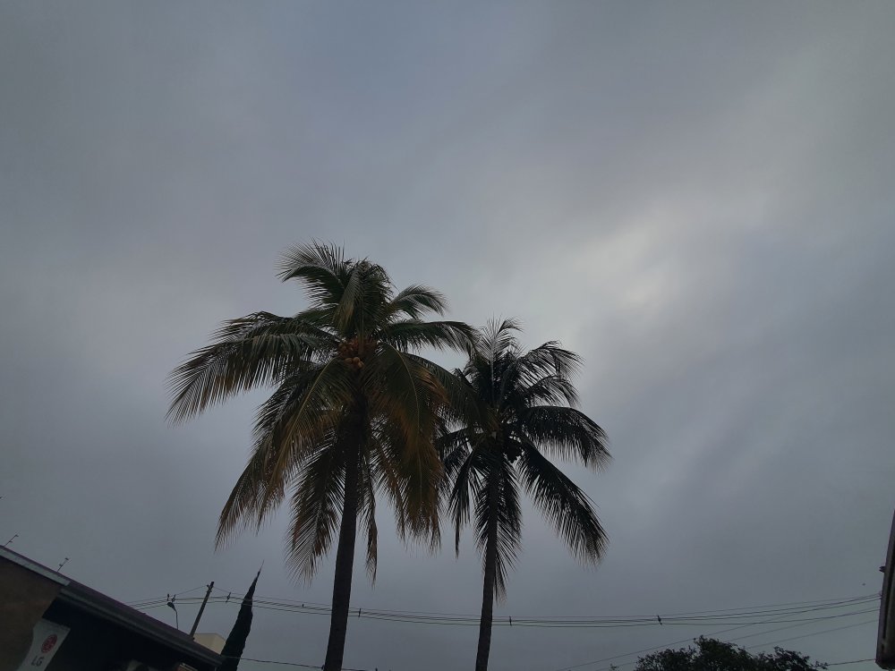20240525_074850.thumb.jpg.29146922f31b1750f5f8ba2883e1fef9.jpg