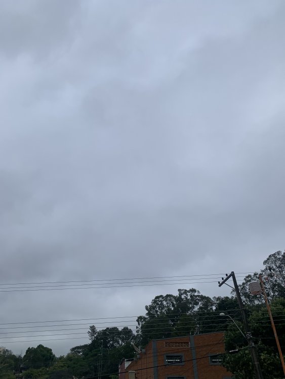44324D97-0816-45D1-B5FE-DD75DBE2B093.thumb.jpeg.6f2e8115dd54218f0332aff4abb6b560.jpeg