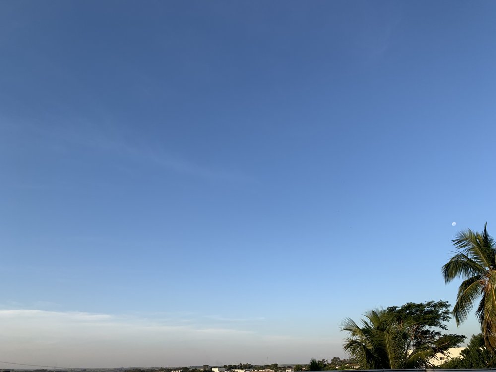 8B41D831-3AD1-46B9-8A61-6981DF851CF5.thumb.jpeg.65684c7f19825d1ce9ce89c0649f2554.jpeg