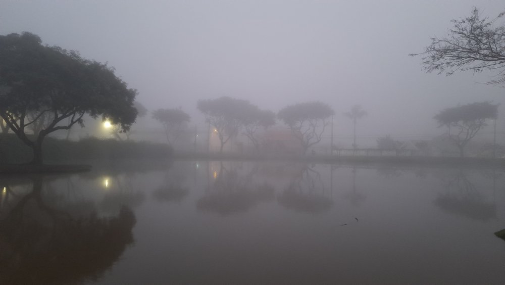 20230618_064858.thumb.jpg.d4f4e3f51da3a029677b190b52b62581.jpg