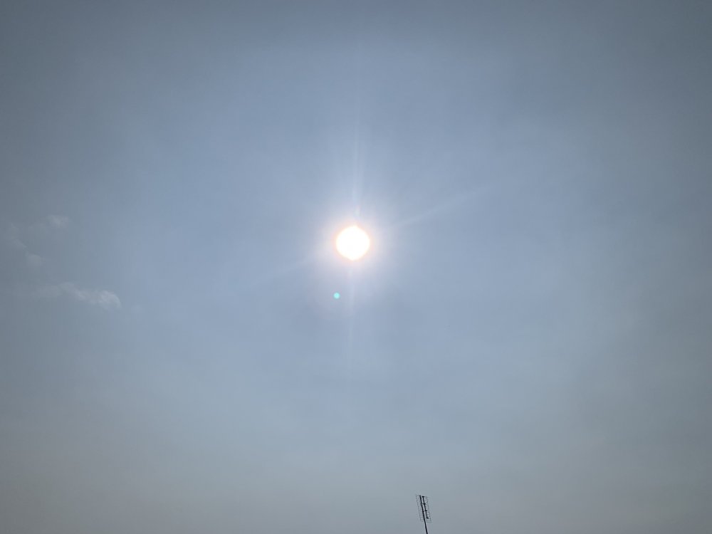 957EA510-2606-4E9E-ACCE-4E6EB0A5237C.thumb.jpeg.e070e109f160a418223c78ed195ec2b2.jpeg