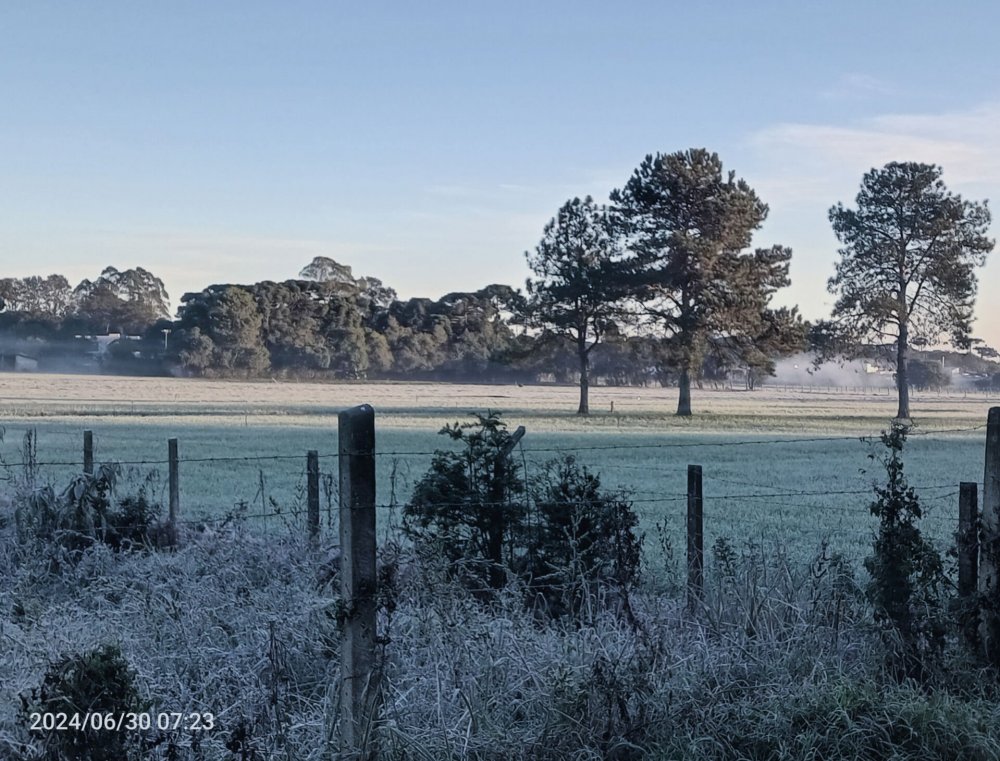 Gallery_1721656900117.thumb.jpg.f18d48d86b4e38f88d71c68d6a91fa99.jpg