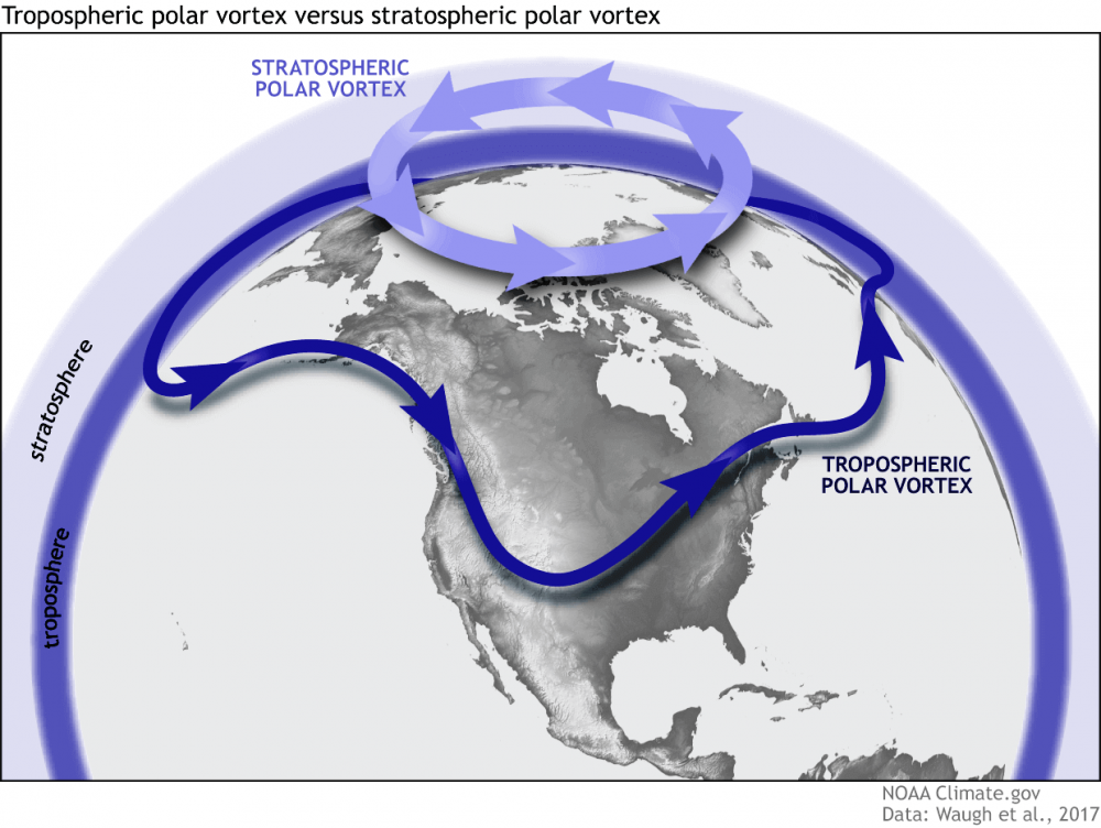 what-is-polar-vortex-weather-forecast-pattern-snowfall-cold-warm-winter-mode.thumb.png.50586d188d2323c4ef4d01a42bd41cab.png