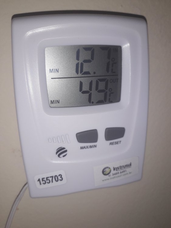 20240811_064523.jpg