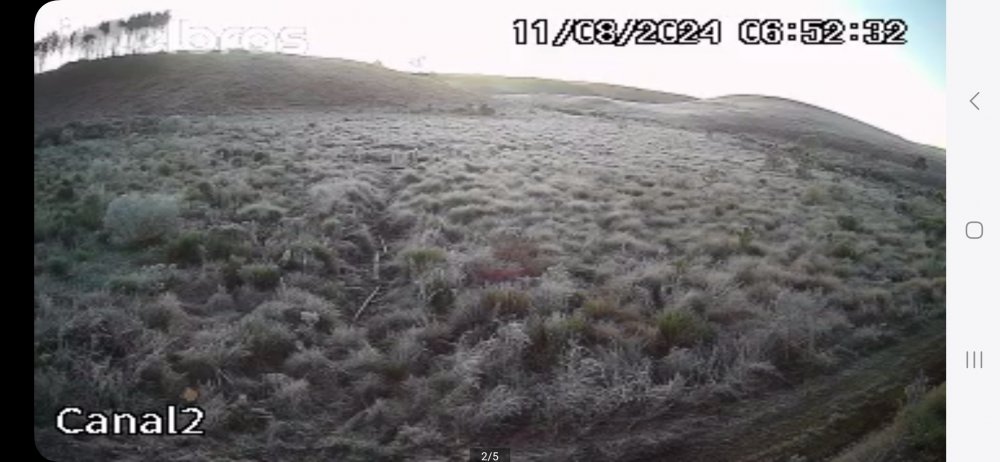 Screenshot_20240811_065400_ISIC Lite.jpg