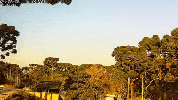 GIF_20240806_184645_365.gif.198b20902db3067d6017086aa1427398.gif