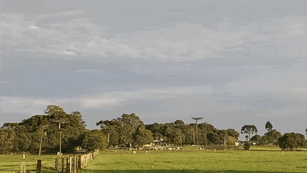 GIF_20240807_081456_763.gif.a10622fb51355bfdda853ecef986d8c5.gif