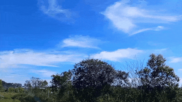 GIF_20240811_185635_357.gif.2e867d85a8eeea9ec82935fdf4ec6e02.gif