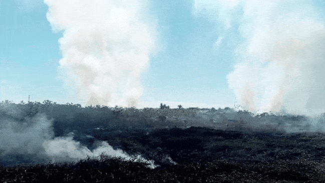 GIF_20240813_180656_167.gif.0a8d3743091f71599aaf06ebb7c479af.gif
